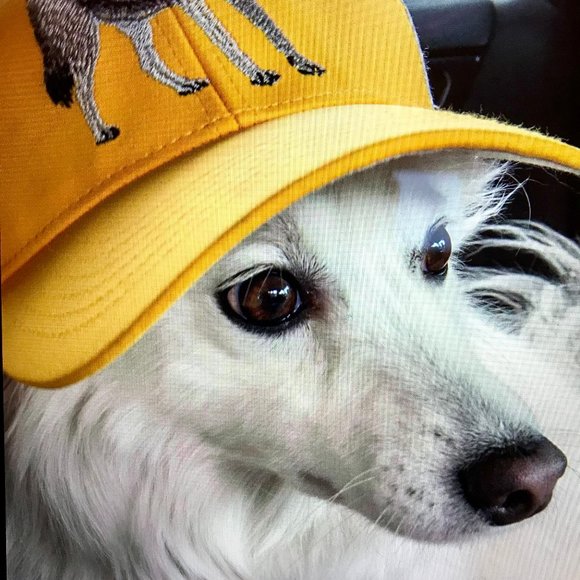 Meet your Posher, Tanja - Picture 2 of 2